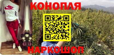 прущие грибы Изобильный