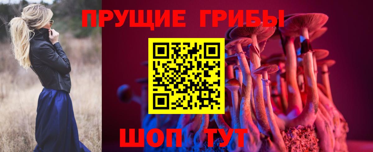 Псилоцибиновые грибы мухоморы  наркота  Балтийск  Вход с VPN 